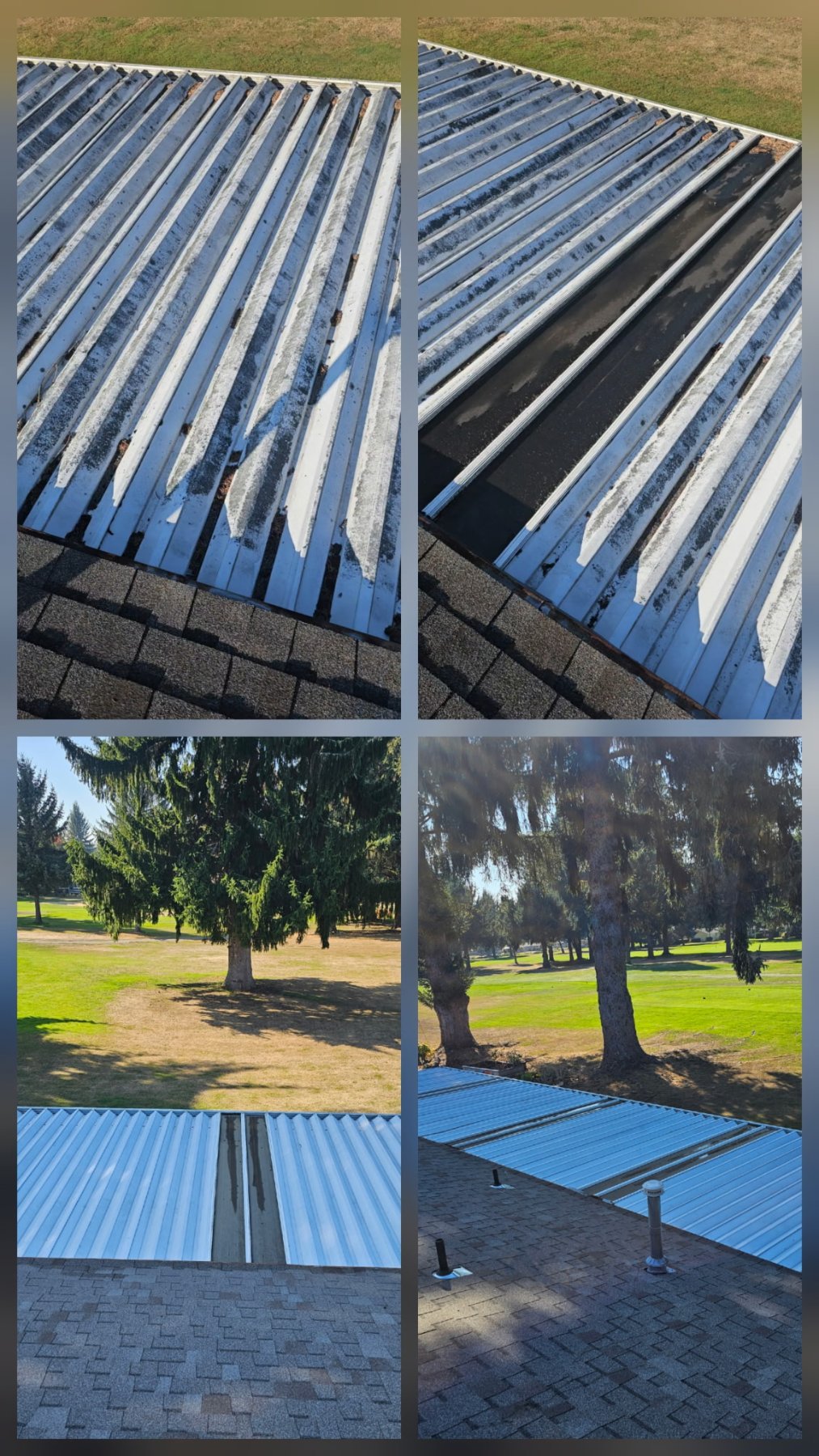 Squeaky Clean Pressure Washing project photo 2