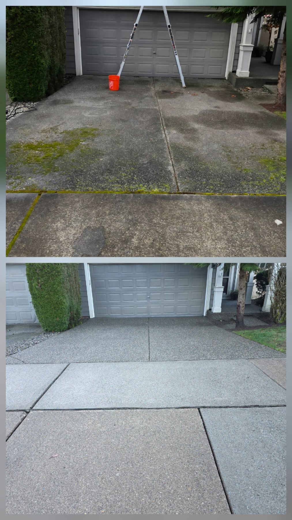 Squeaky Clean Pressure Washing project photo 5