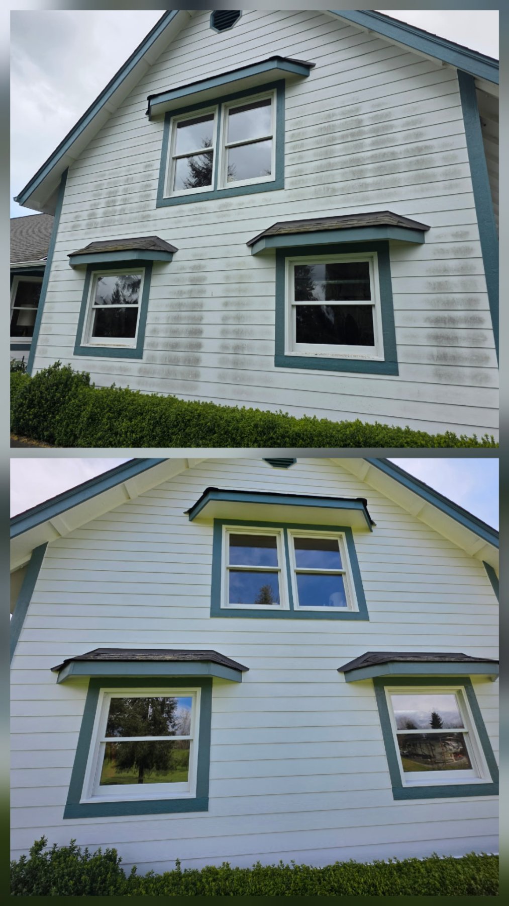 Squeaky Clean Pressure Washing project photo 6