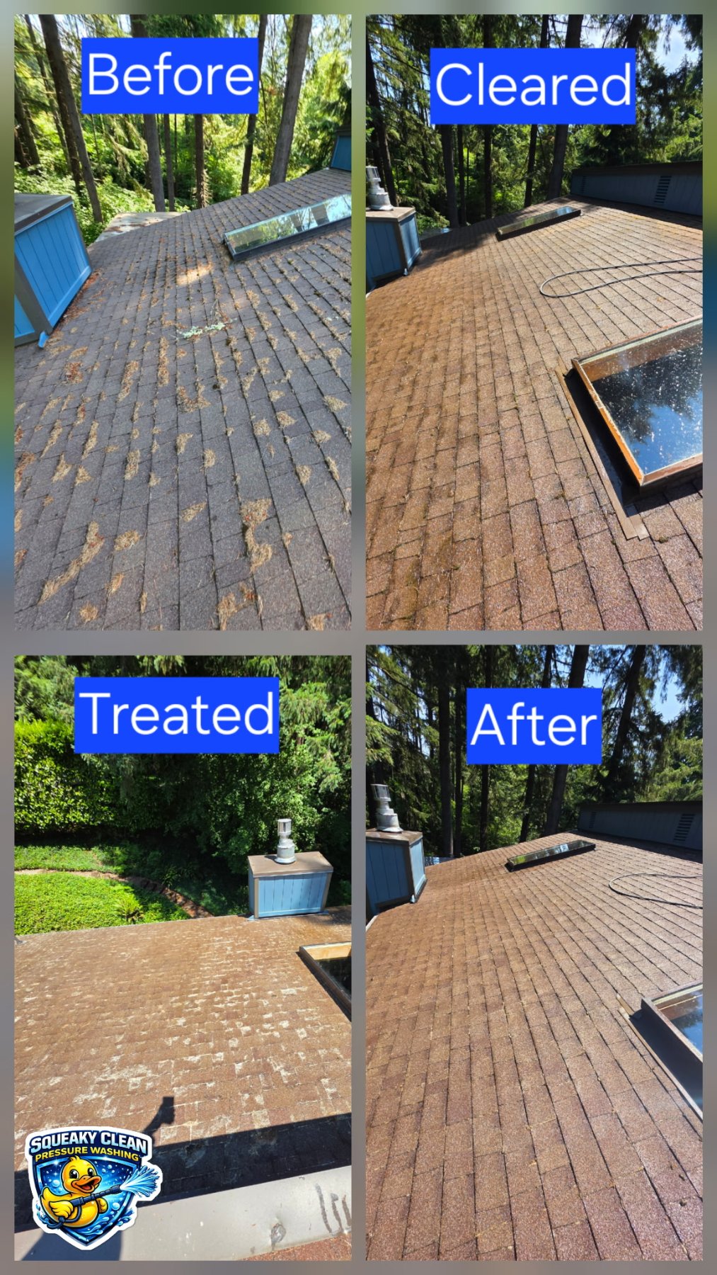 Squeaky Clean Pressure Washing project photo 8