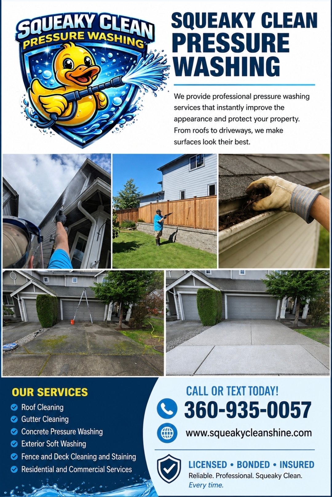 Squeaky Clean Pressure Washing project photo 11