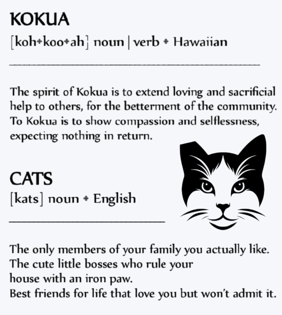 Kokua Cats project photo 1