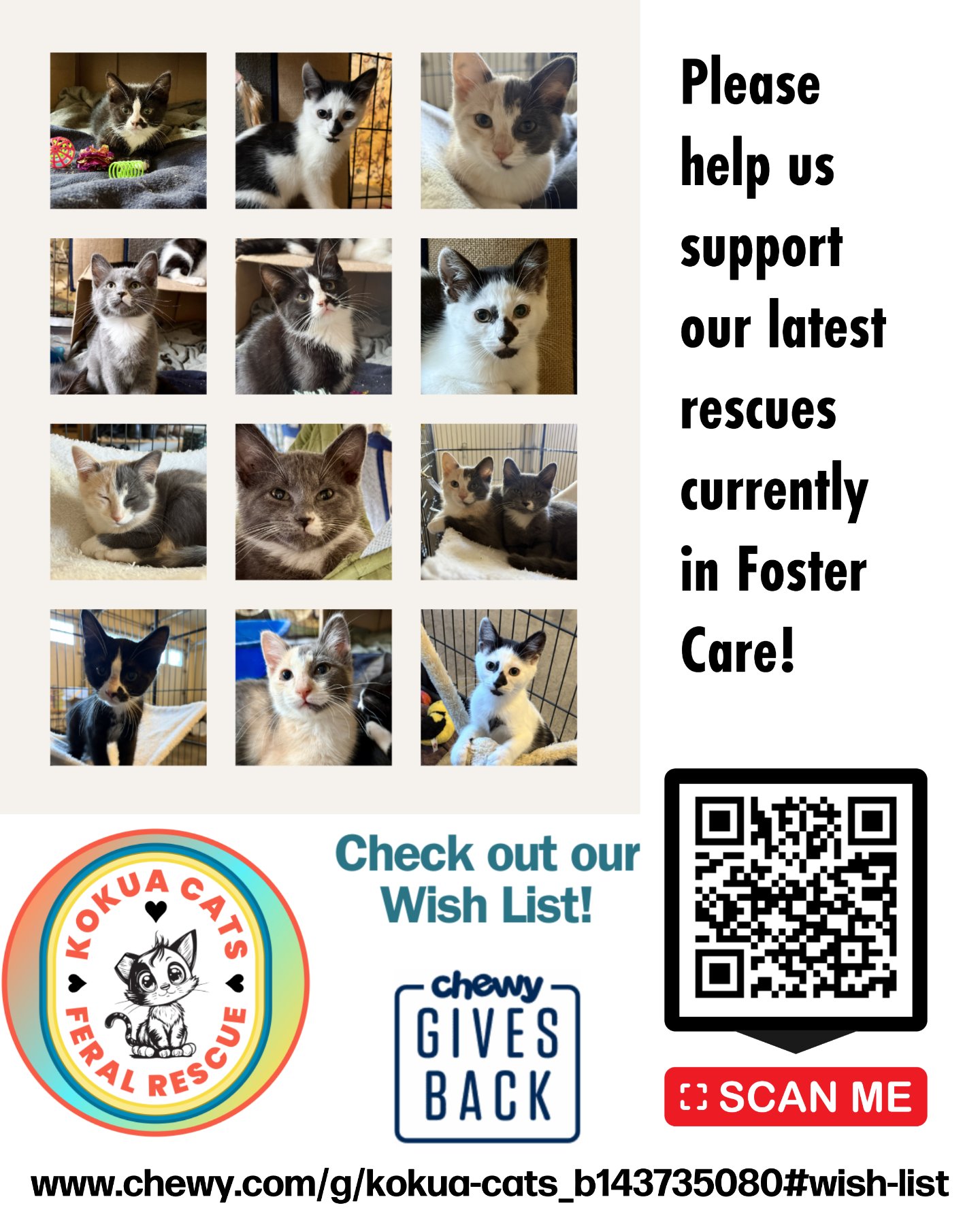 Kokua Cats project photo 3