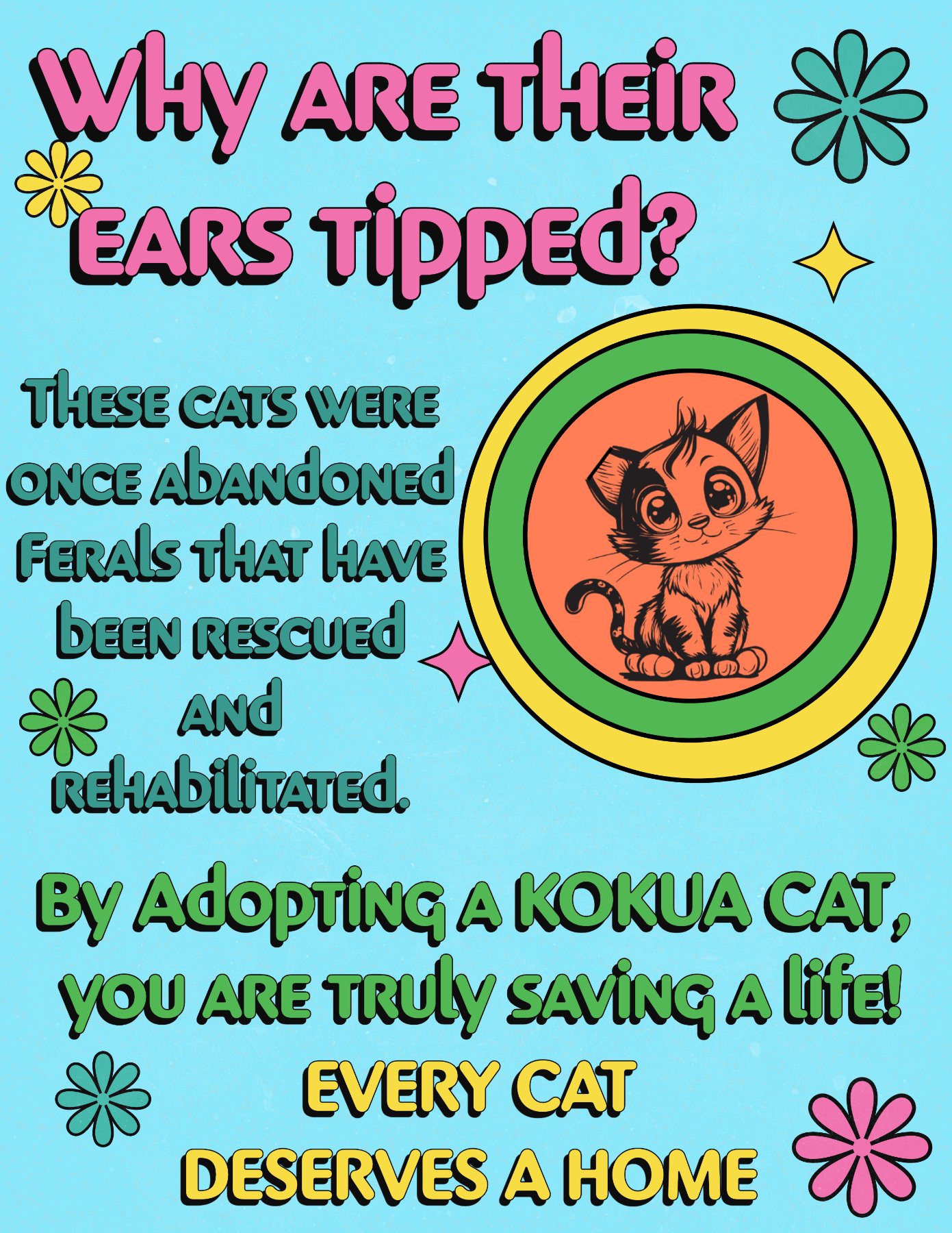 Kokua Cats project photo 9