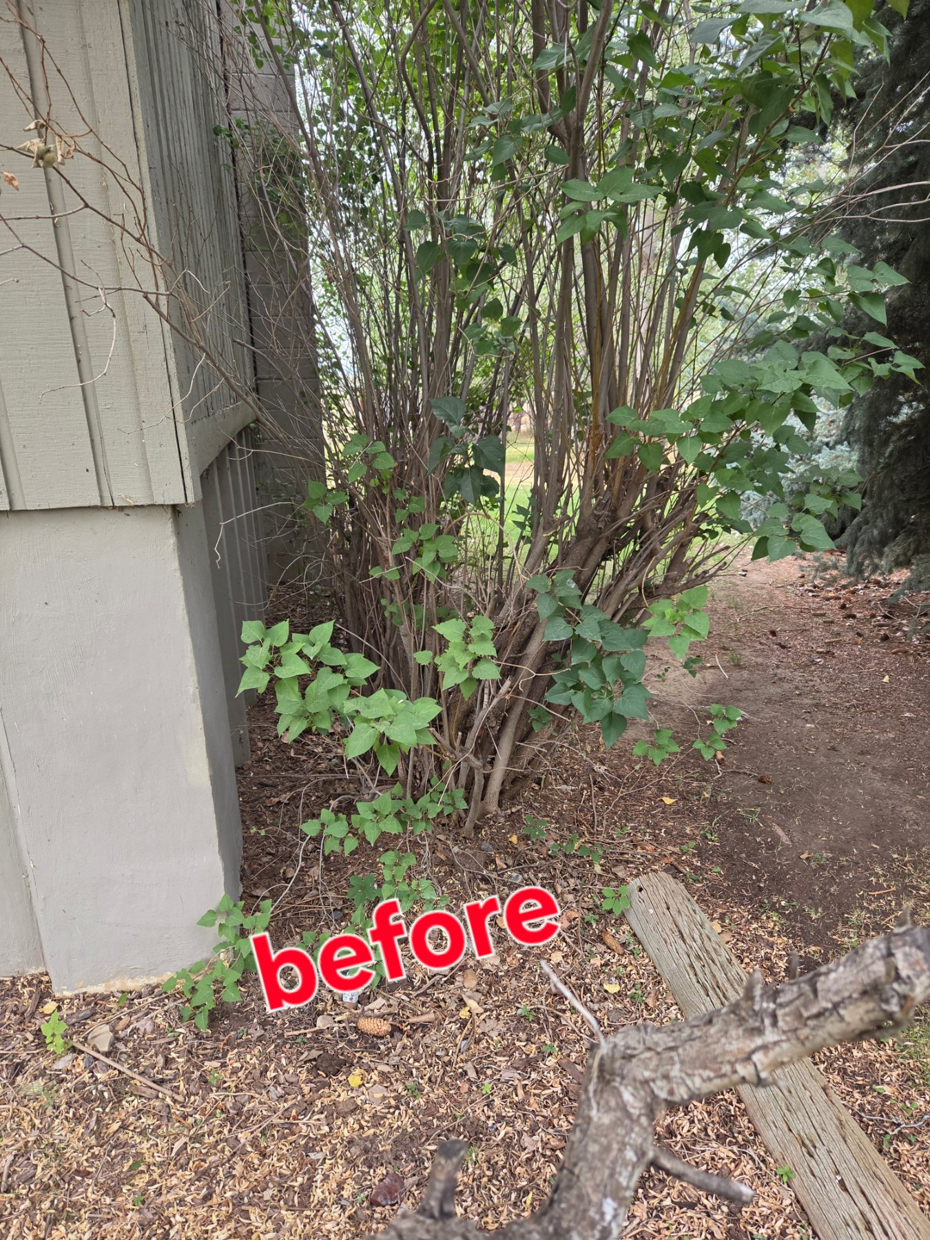 Ember Shield Defense llc project photo 1