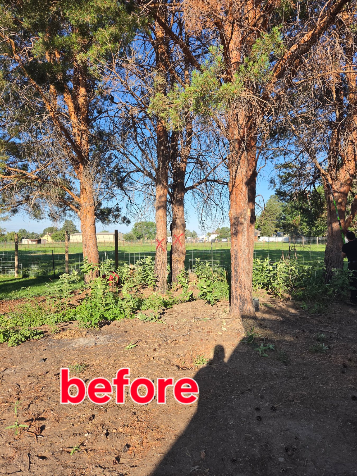 Ember Shield Defense llc project photo 11