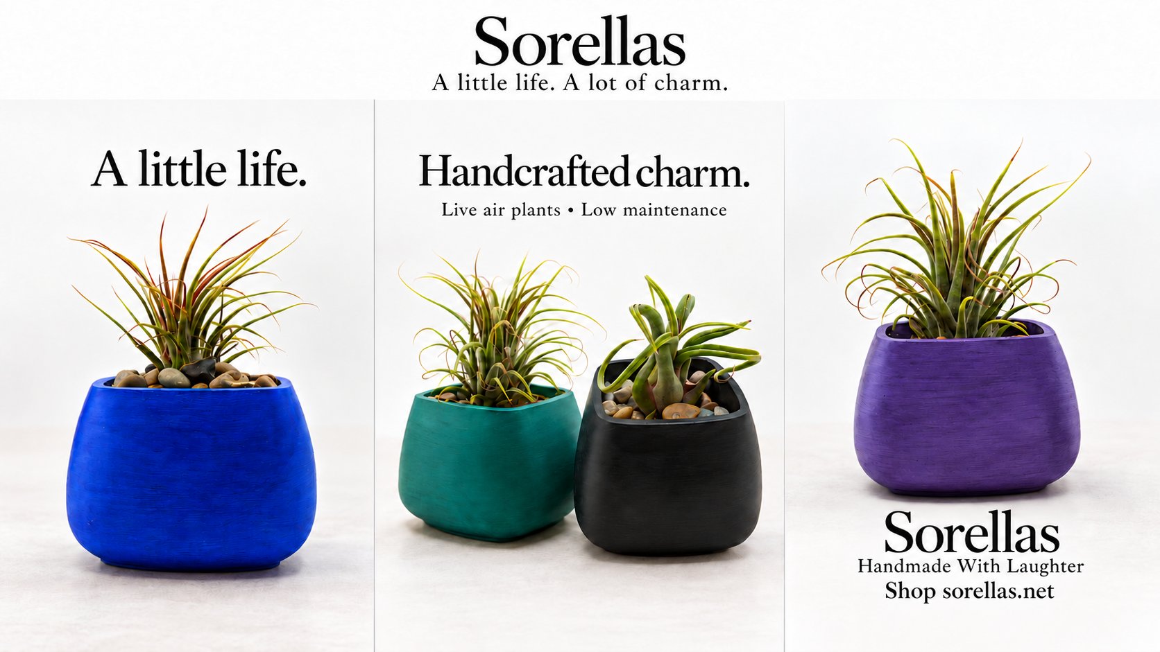 Sorellas Merchandise LLC project photo 3