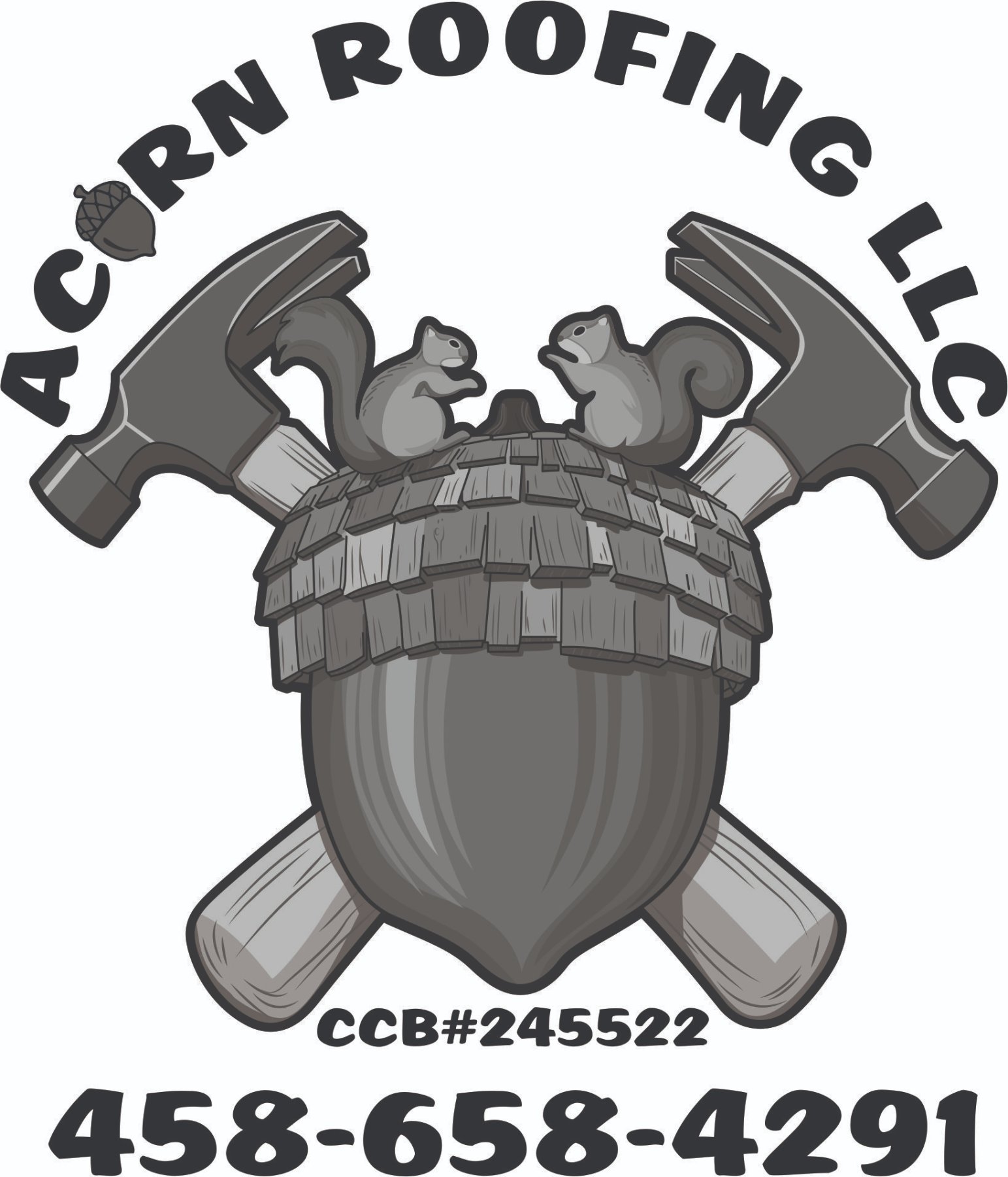 ACORN ROOFING LLC project photo 1