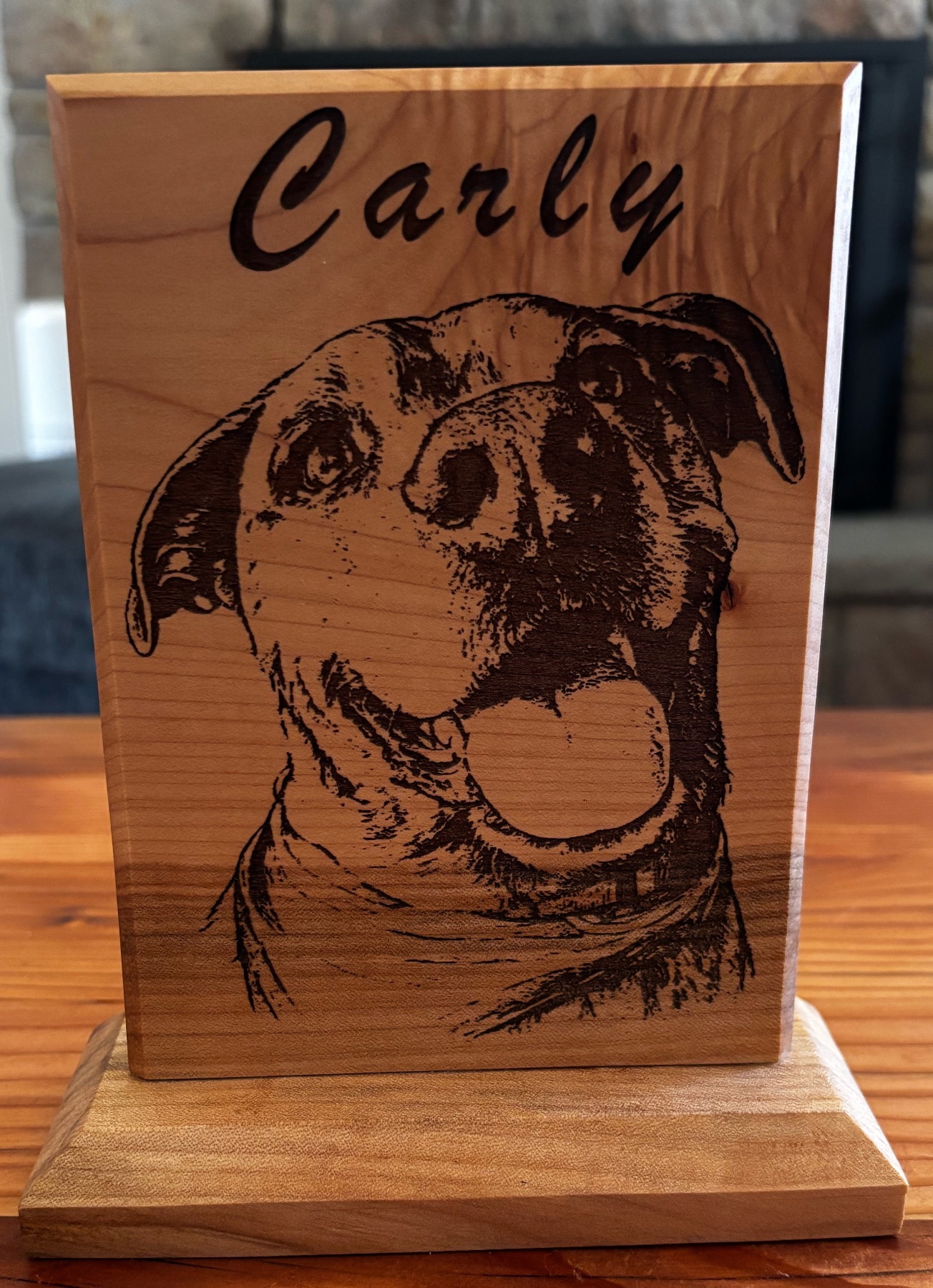 Papi’s Woodshop project photo 13