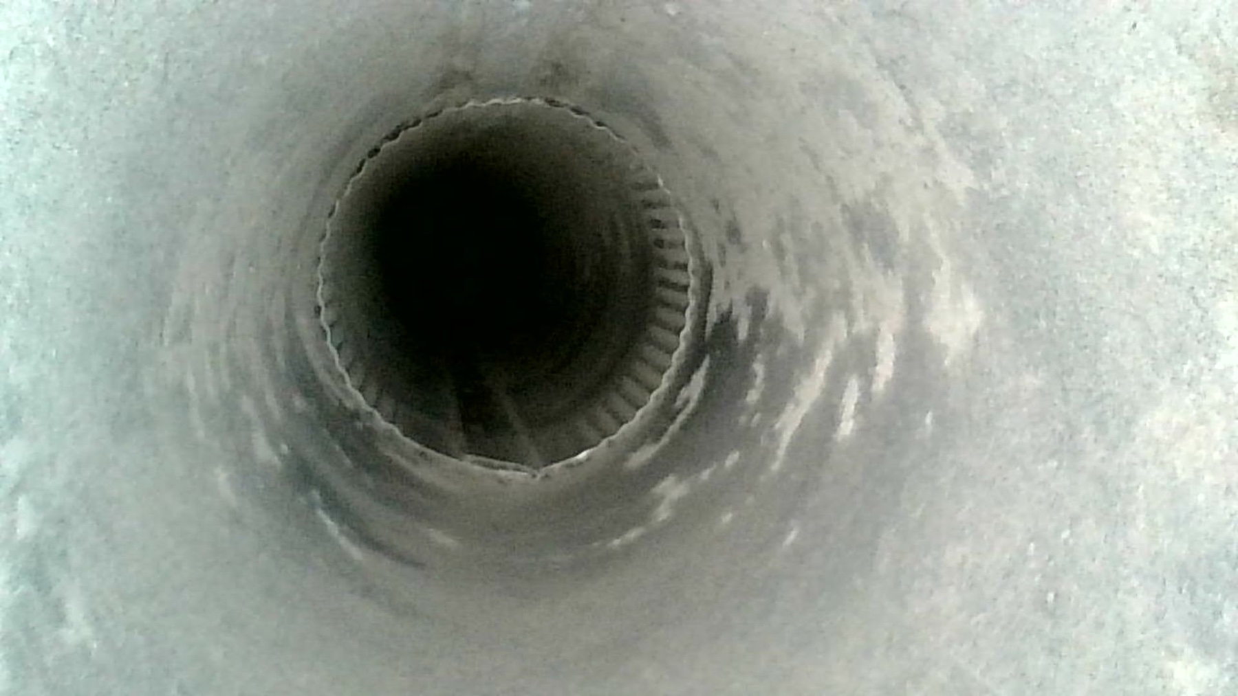Olympia Dryer Vent Cleaning project photo 1