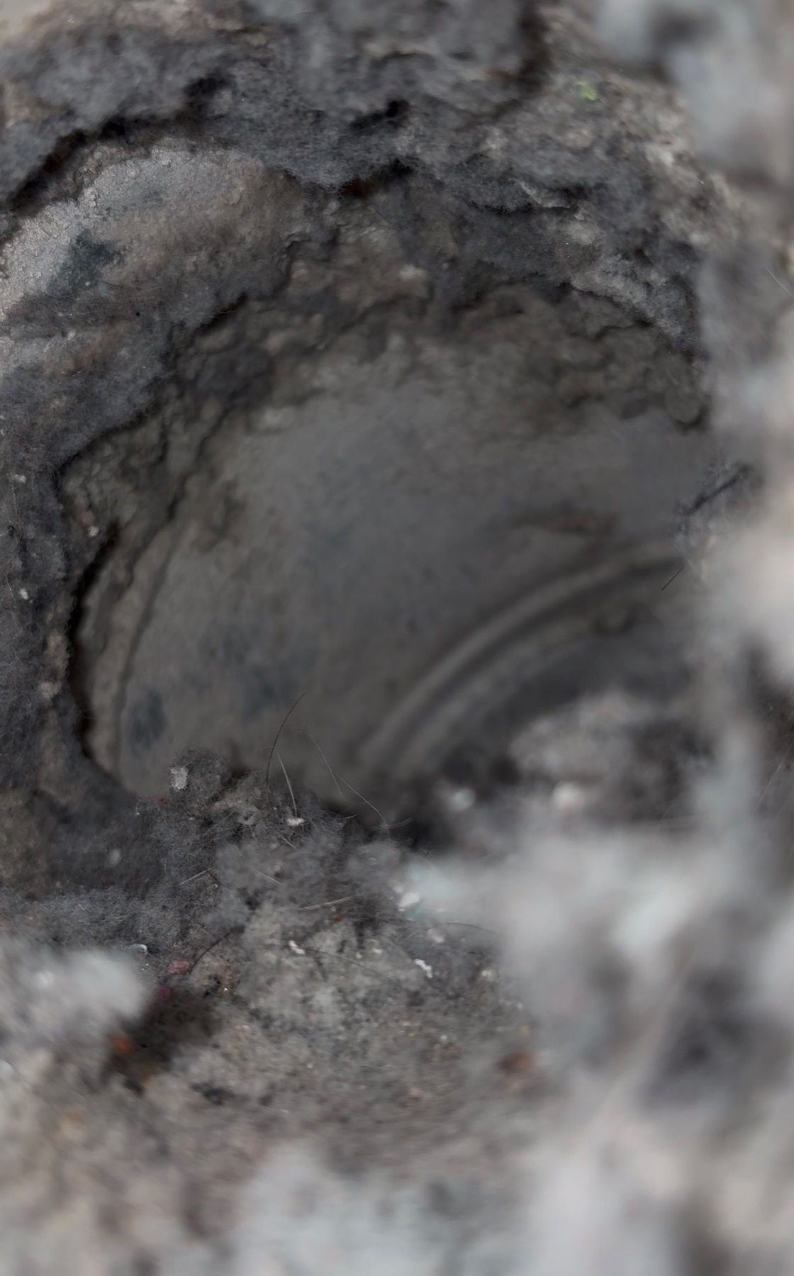 Olympia Dryer Vent Cleaning project photo 4