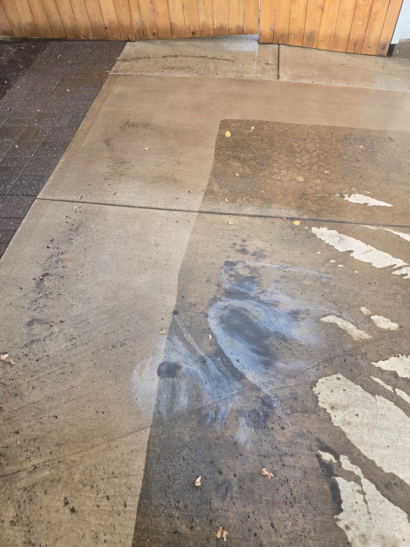 Phillips Exterior Cleaning LLC project photo 10