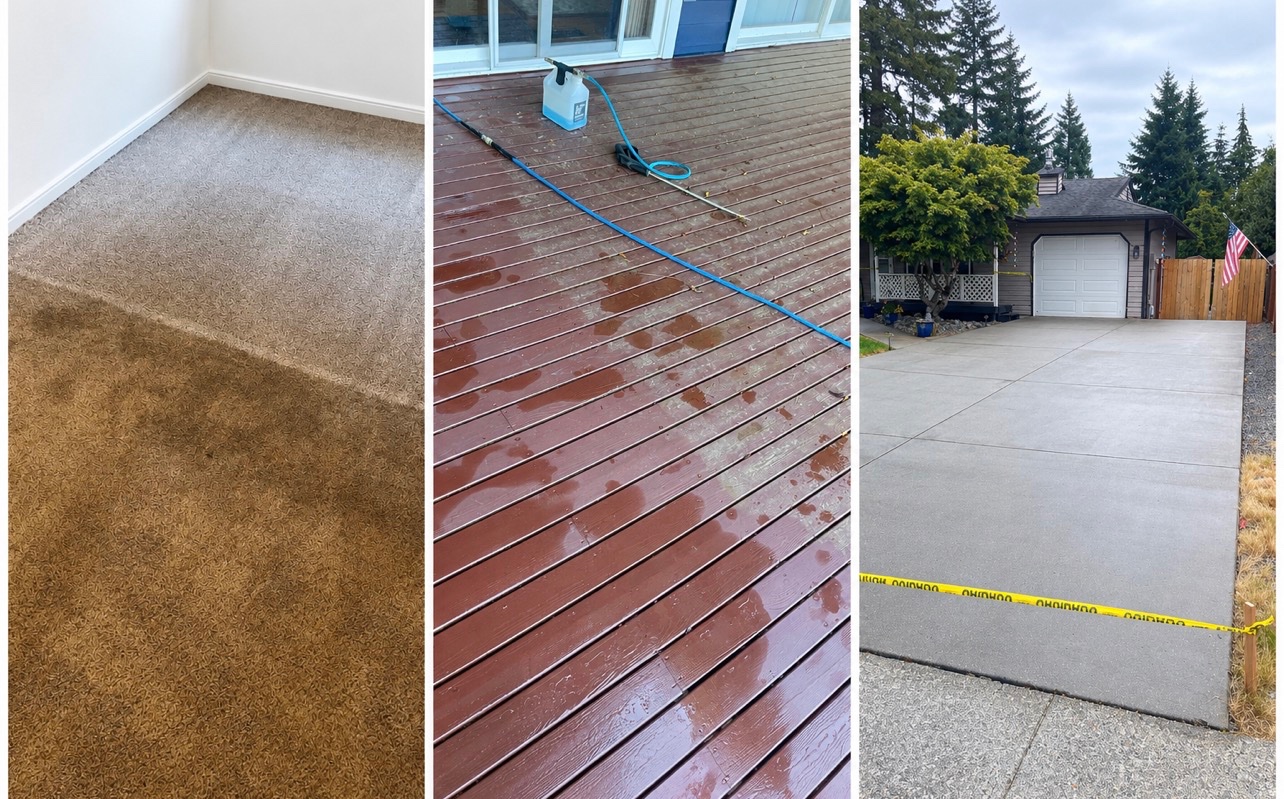 Definitive Difference Carpet Cleaning project work