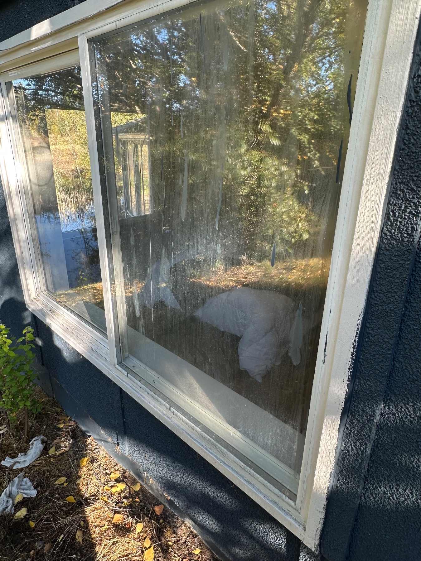 Crystal clear window cleaning project photo 5