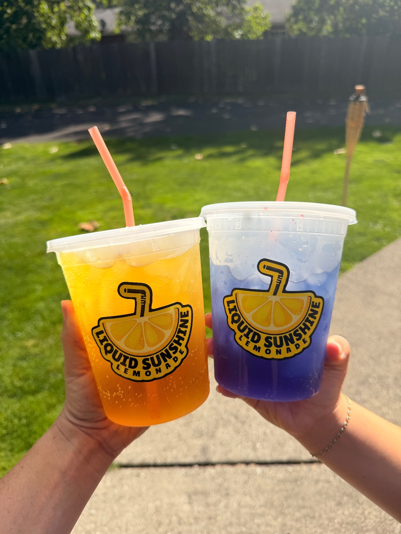 Liquid Sunshine Lemonade project photo 6