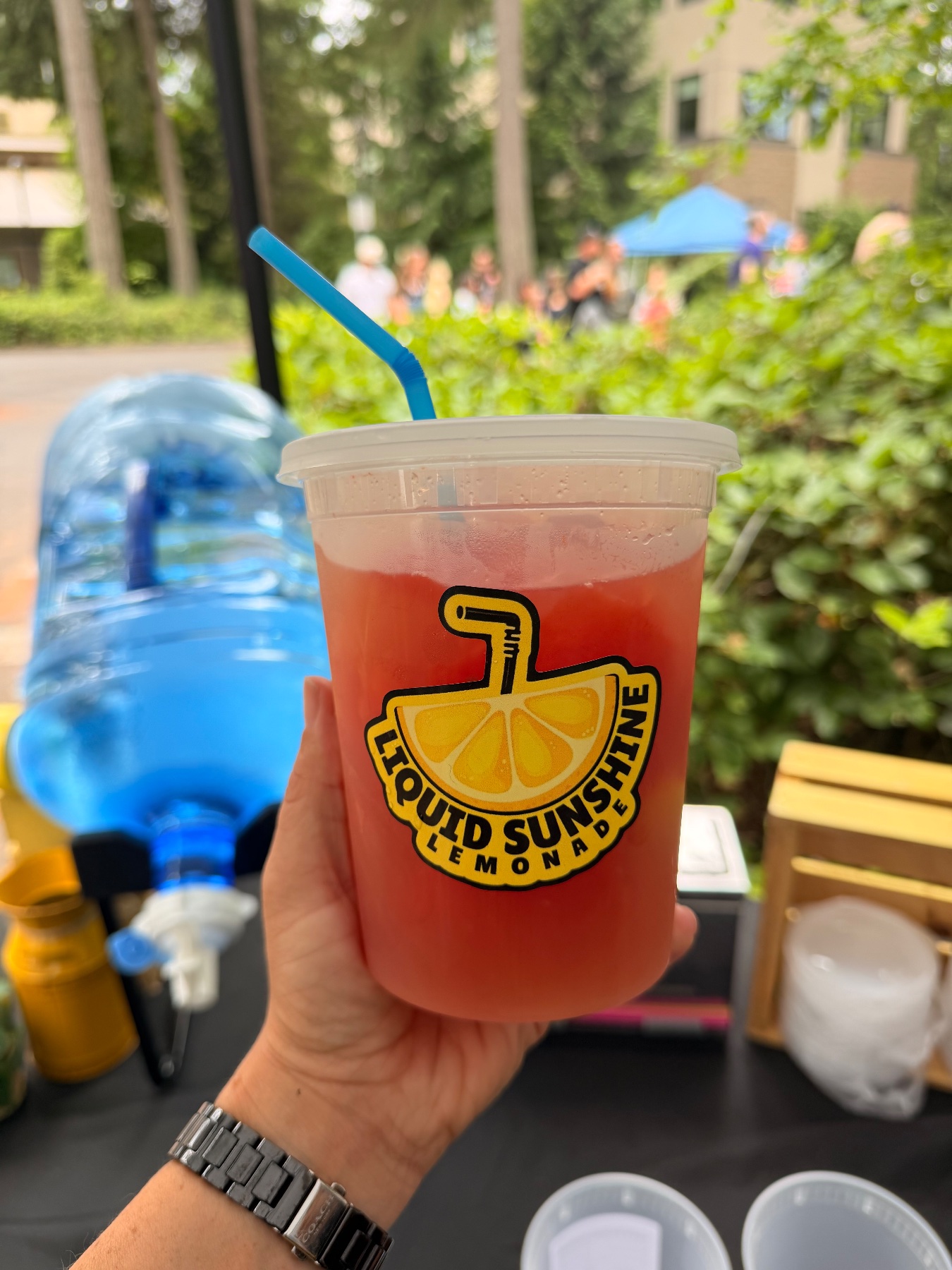 Liquid Sunshine Lemonade project photo 3
