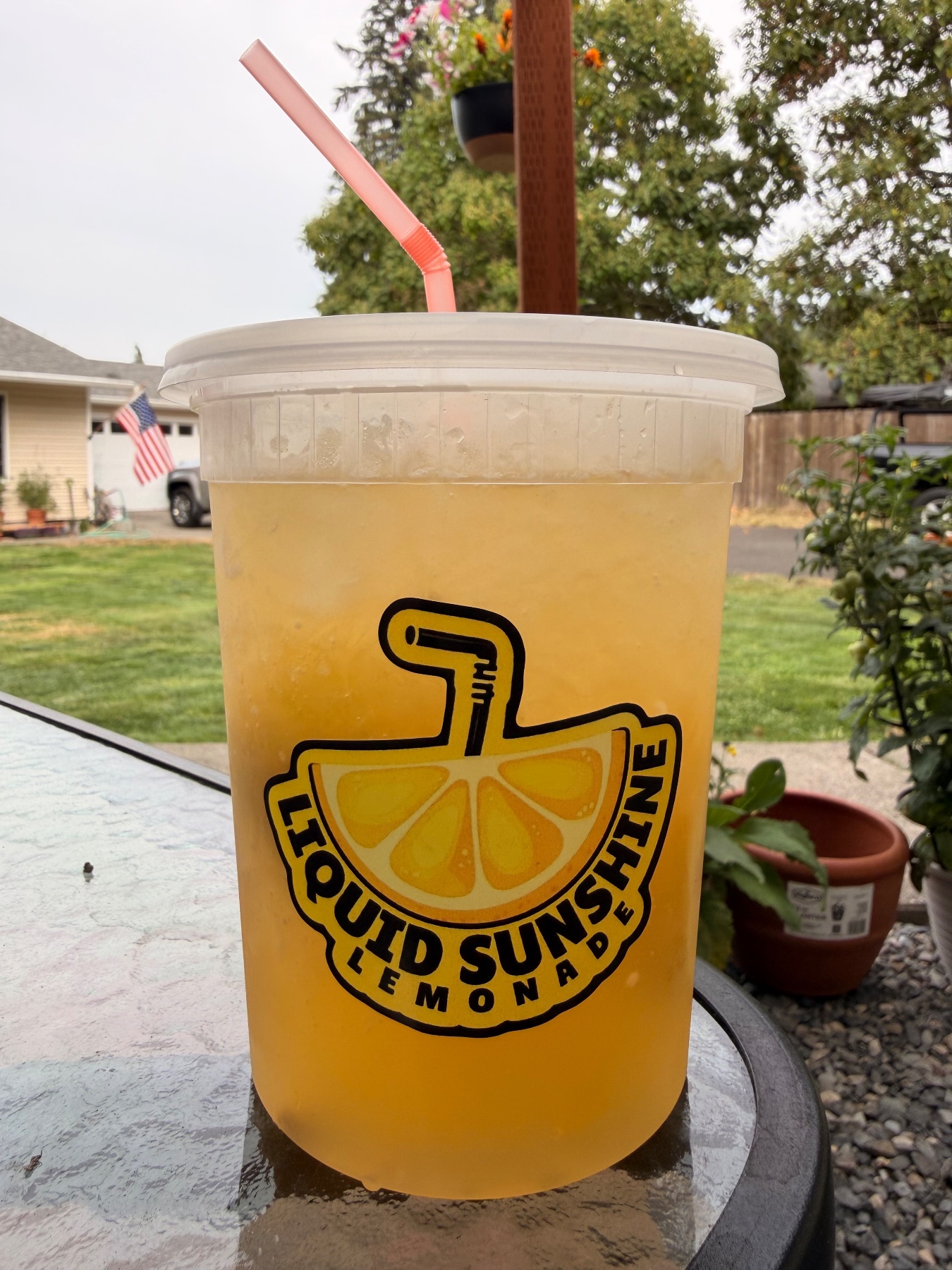 Liquid Sunshine Lemonade project photo 1