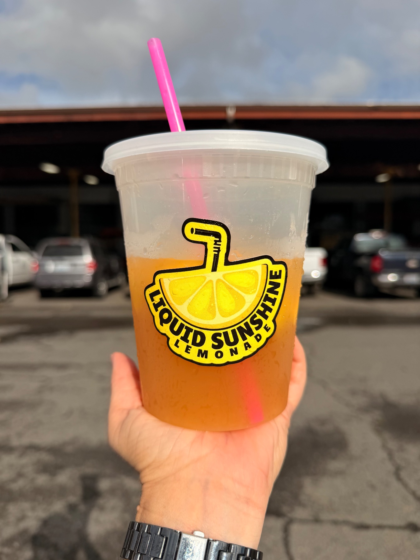 Liquid Sunshine Lemonade project photo 8