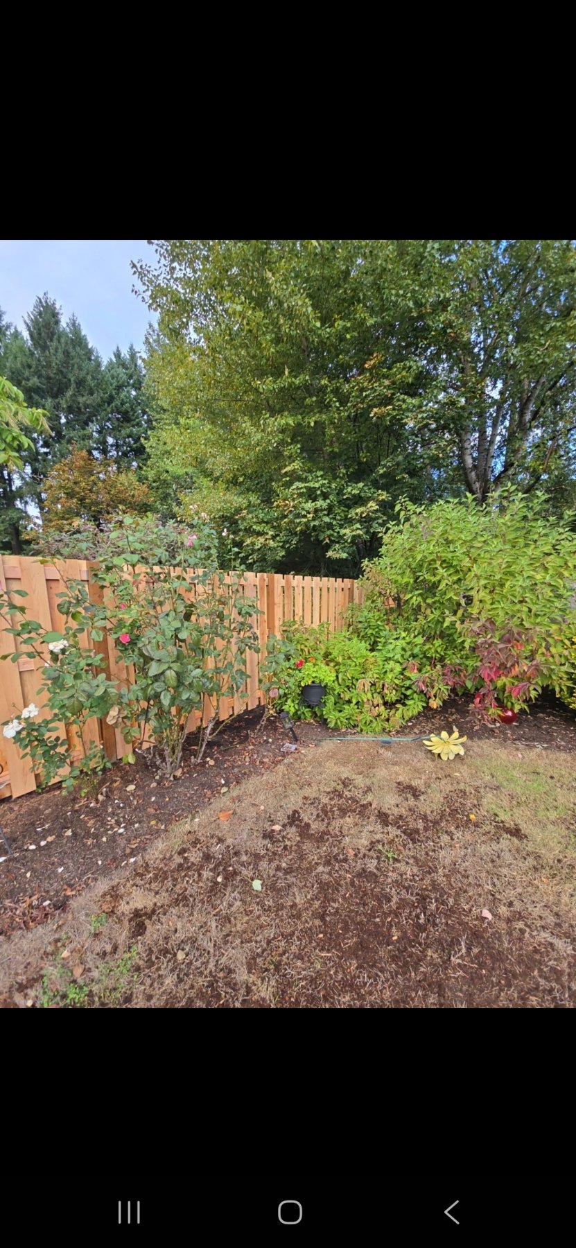 Hammerhead fence and deck llc project photo 15