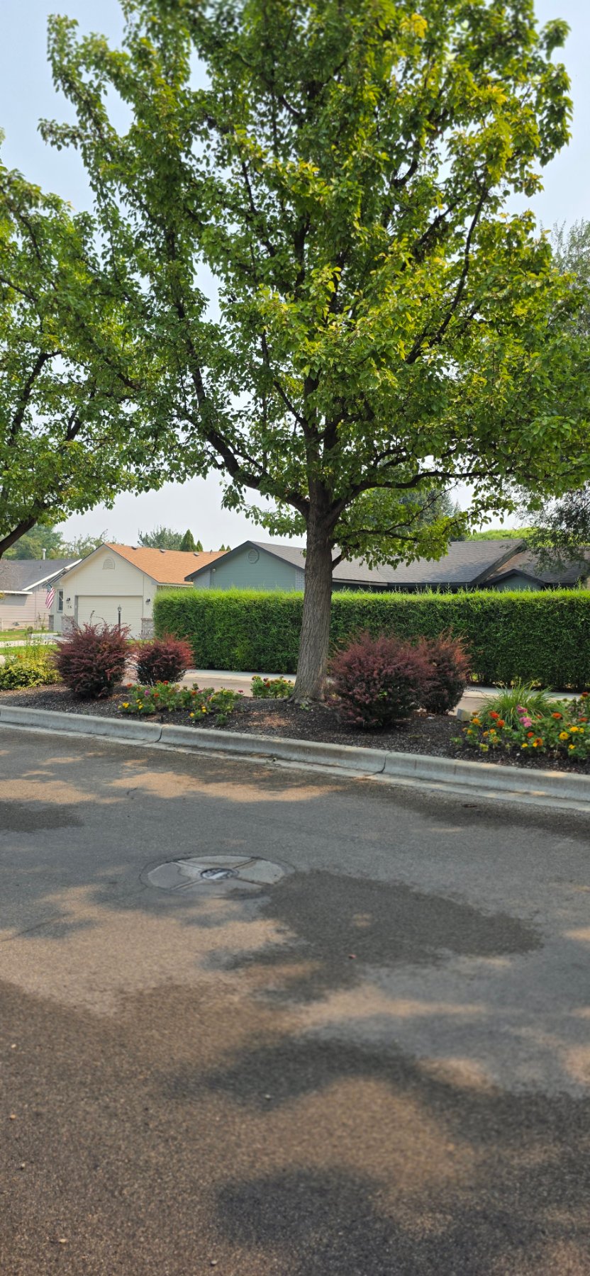 Arbor Nexus LLC project photo 1