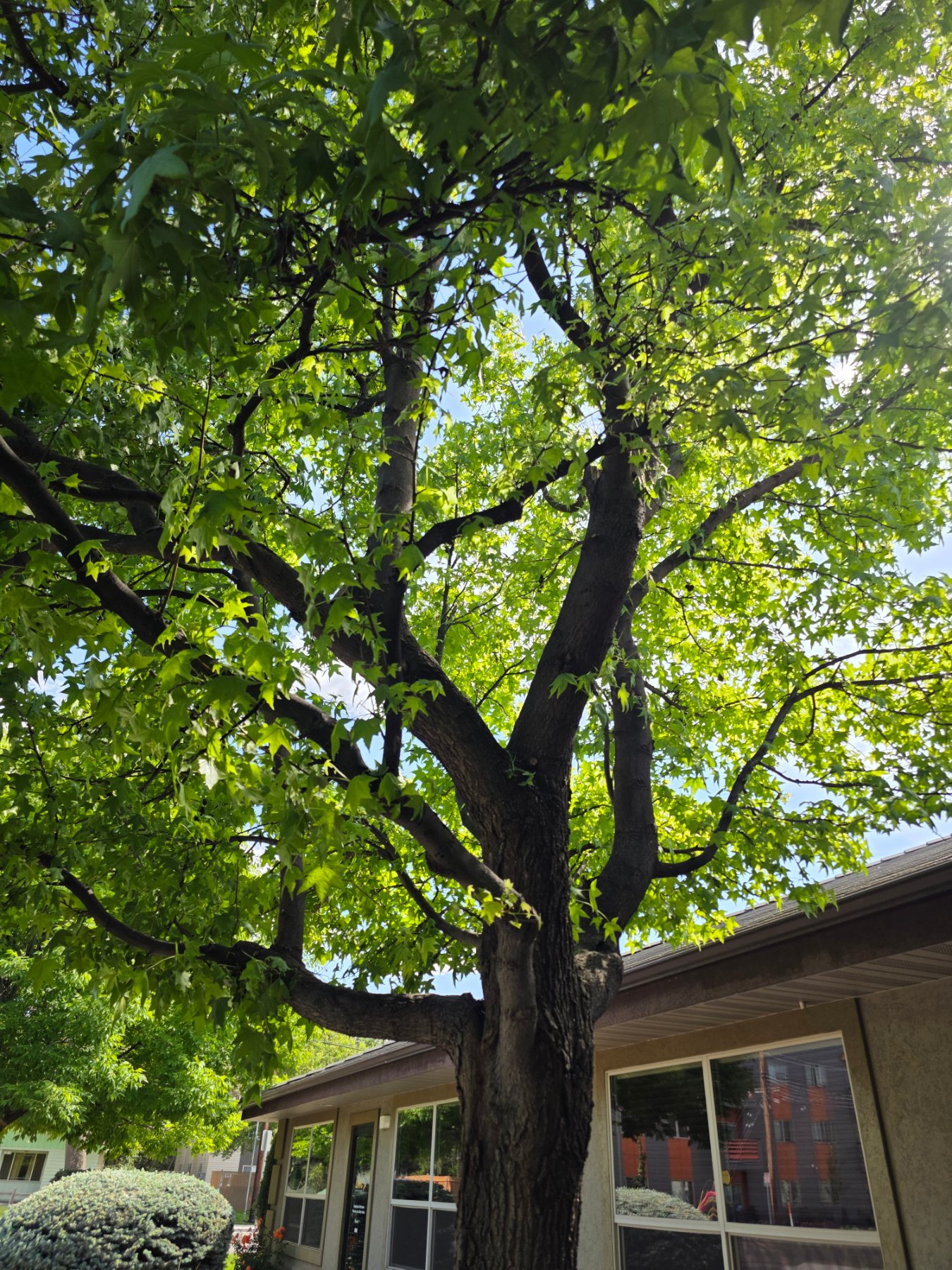Arbor Nexus LLC project photo 2