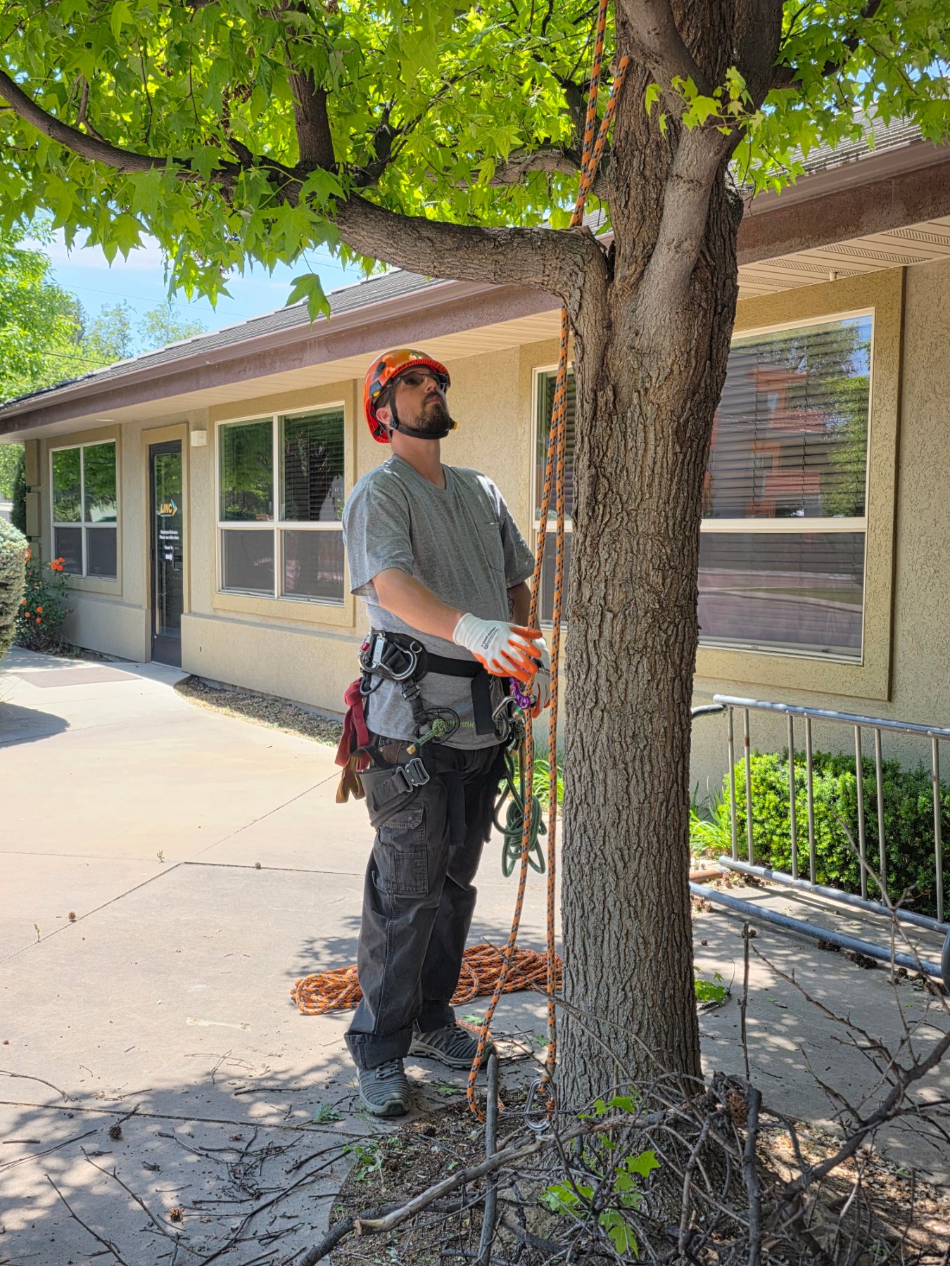 Arbor Nexus LLC project work