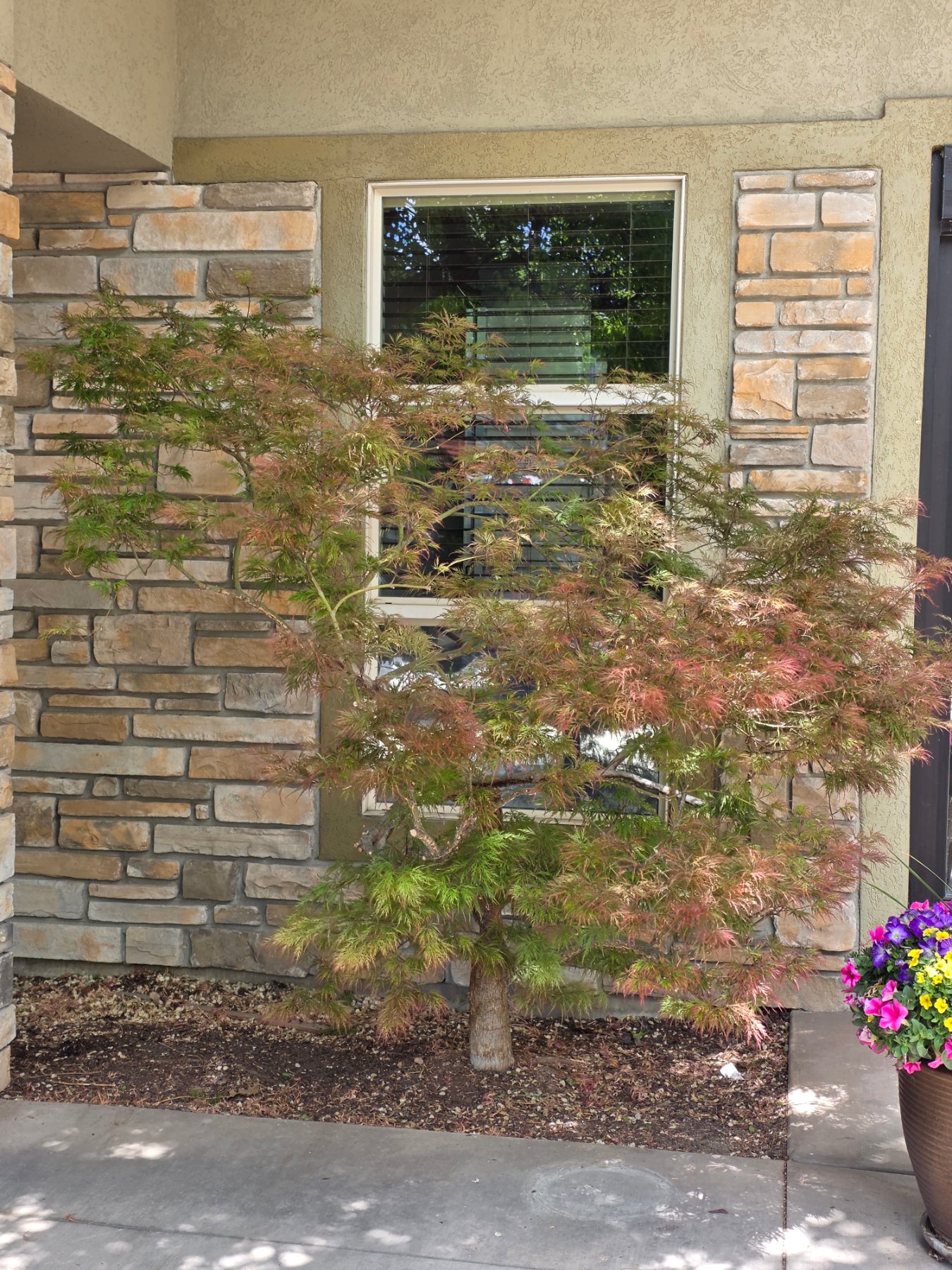 Arbor Nexus LLC project photo 3