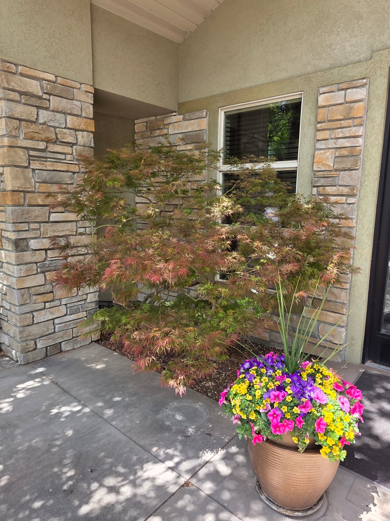 Arbor Nexus LLC project photo 4