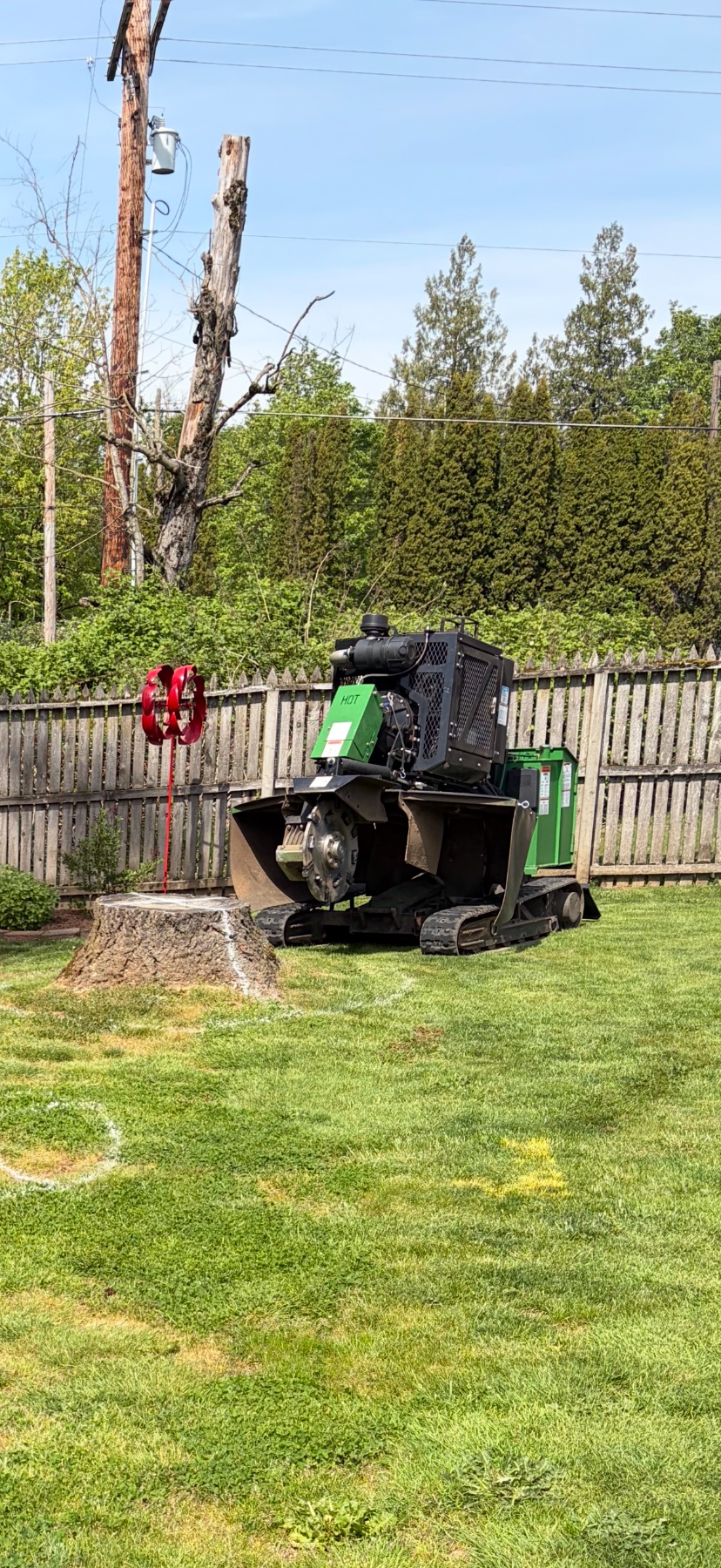JT’s Stump Grinding LLC project photo 2