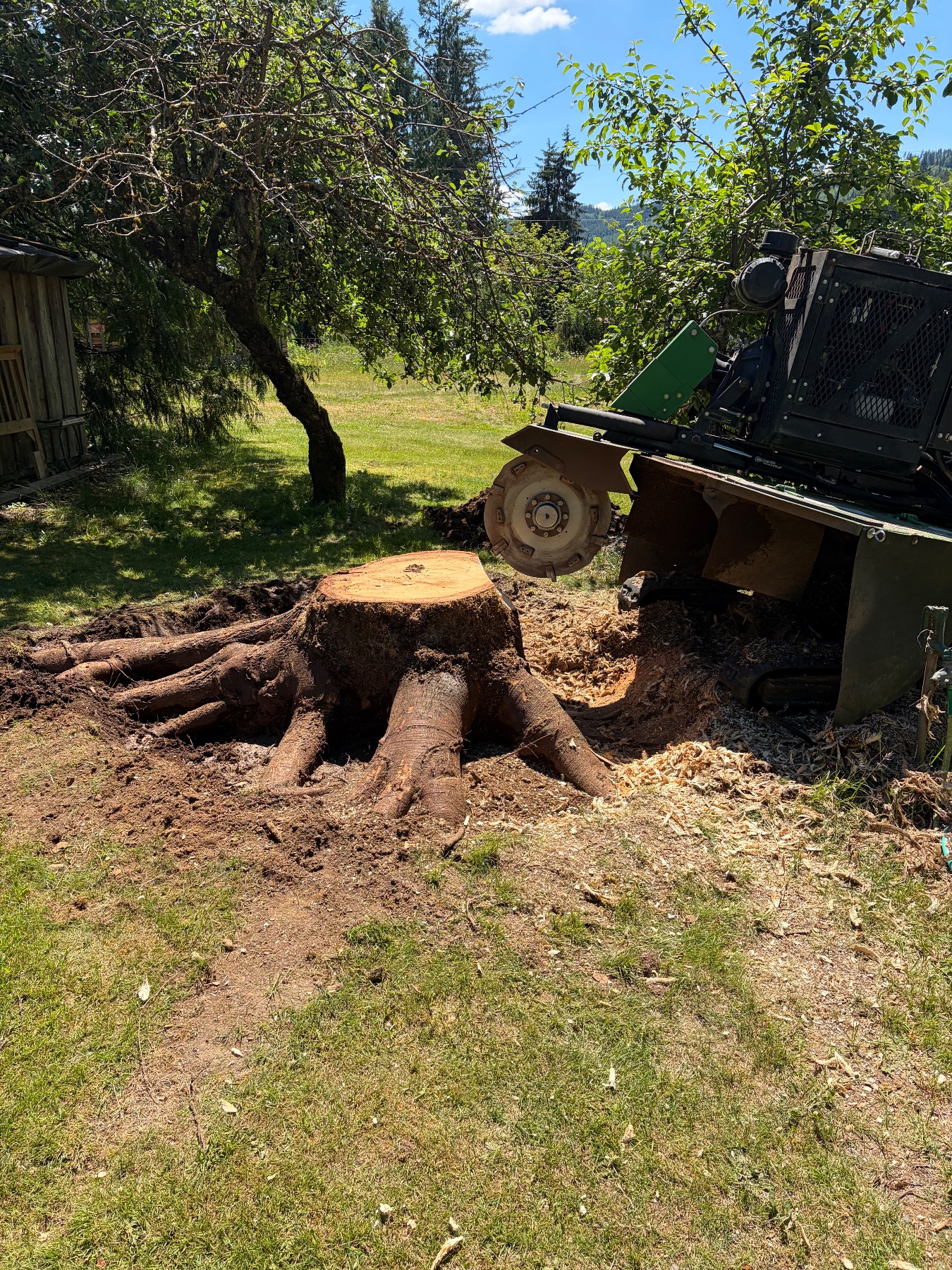 JT’s Stump Grinding LLC project photo 5