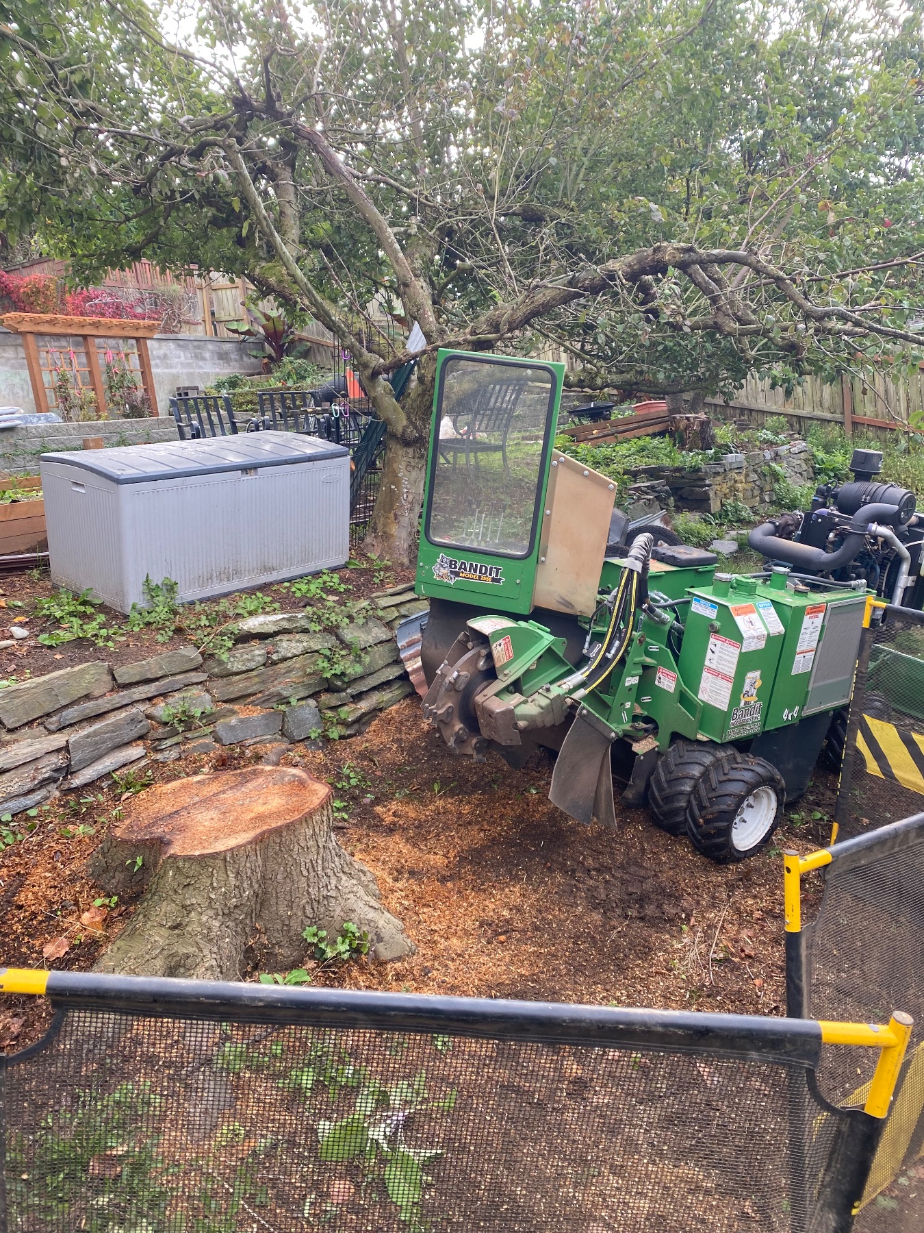JT’s Stump Grinding LLC project photo 4