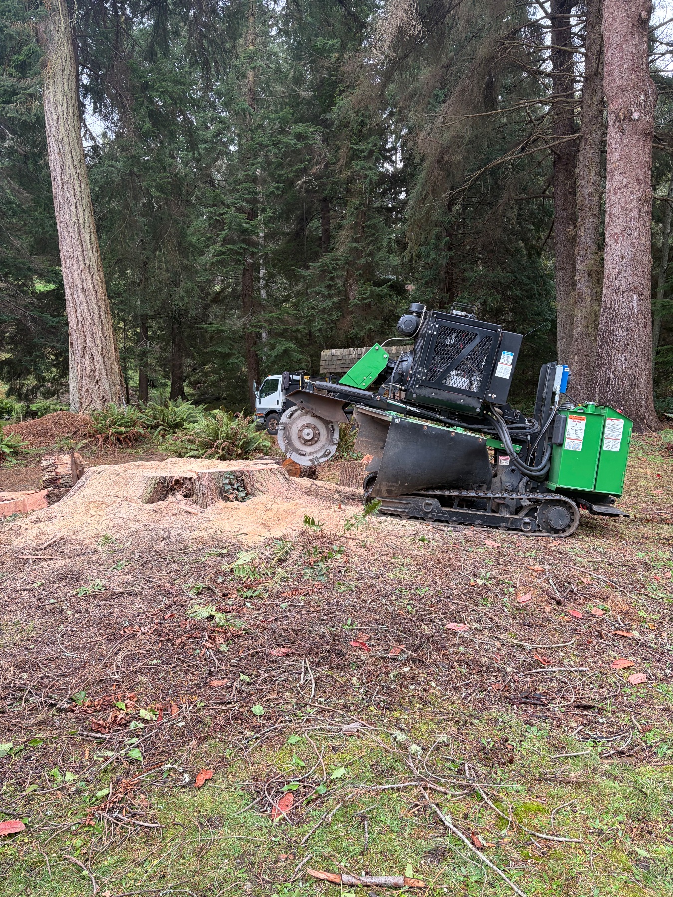 JT’s Stump Grinding LLC project photo 7