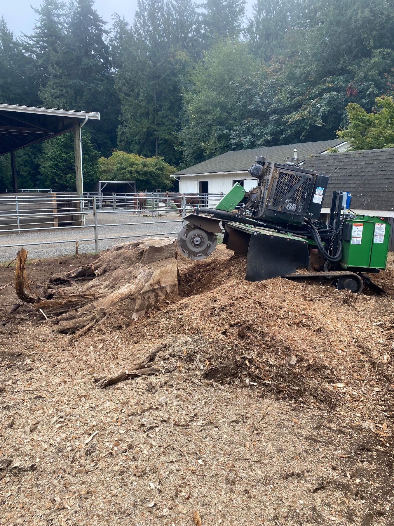 JT’s Stump Grinding LLC project work