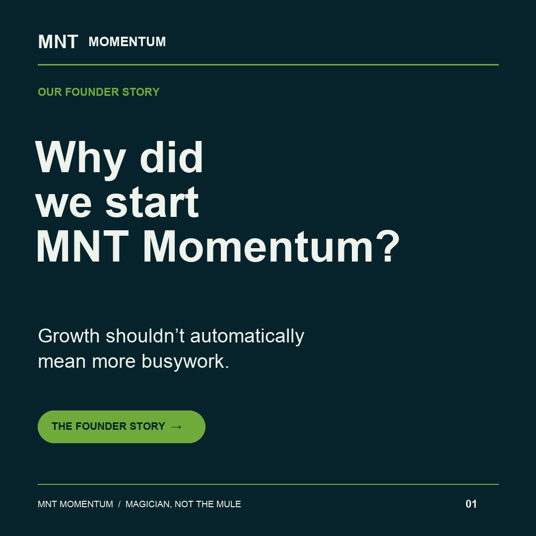 MNT Momentum project photo 1