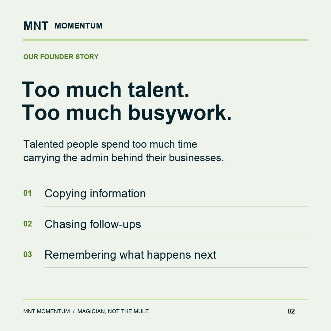 MNT Momentum project photo 2