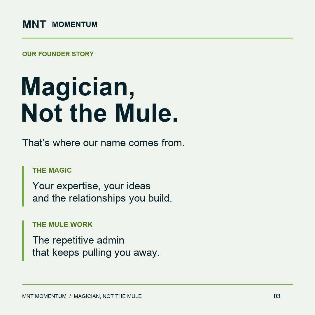 MNT Momentum project photo 3
