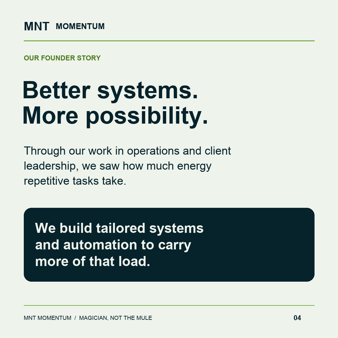 MNT Momentum project photo 4