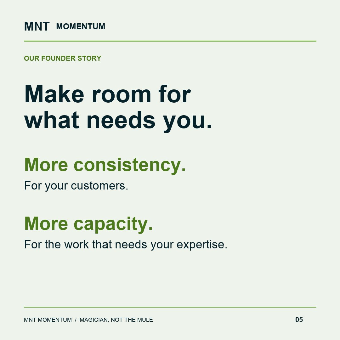MNT Momentum project photo 5