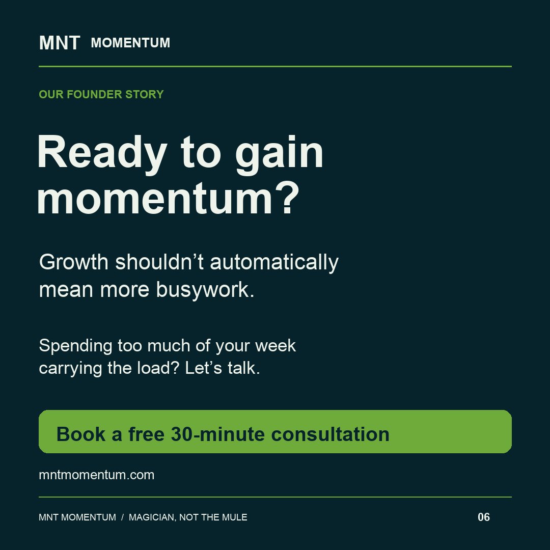 MNT Momentum project photo 6