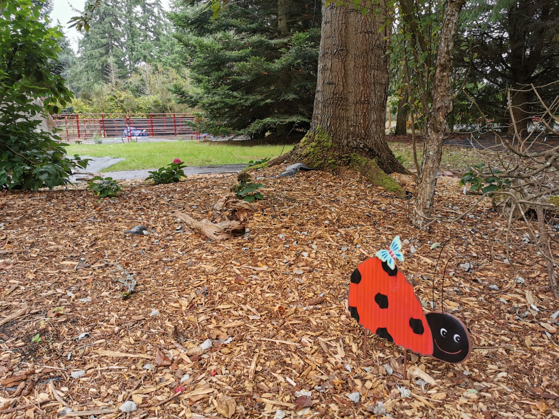 Bunny Hop Academy project photo 8