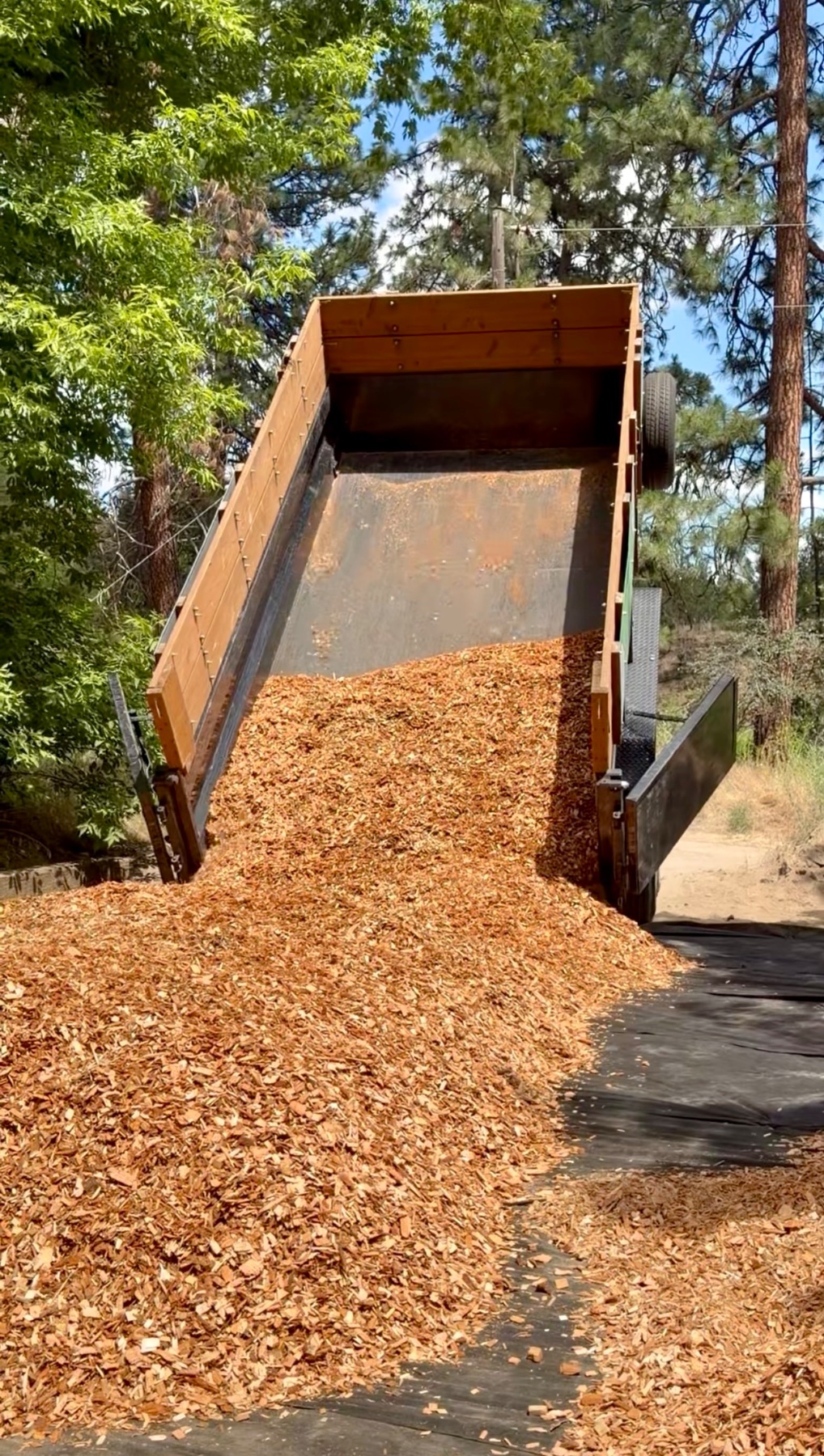Haul Yeah Junk Removal project photo 16