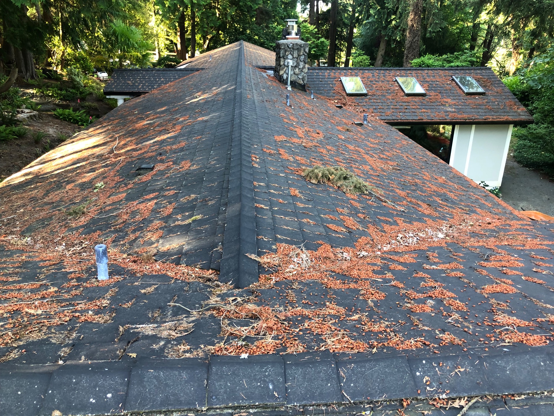 Fisher Exterior Solutions project photo 7