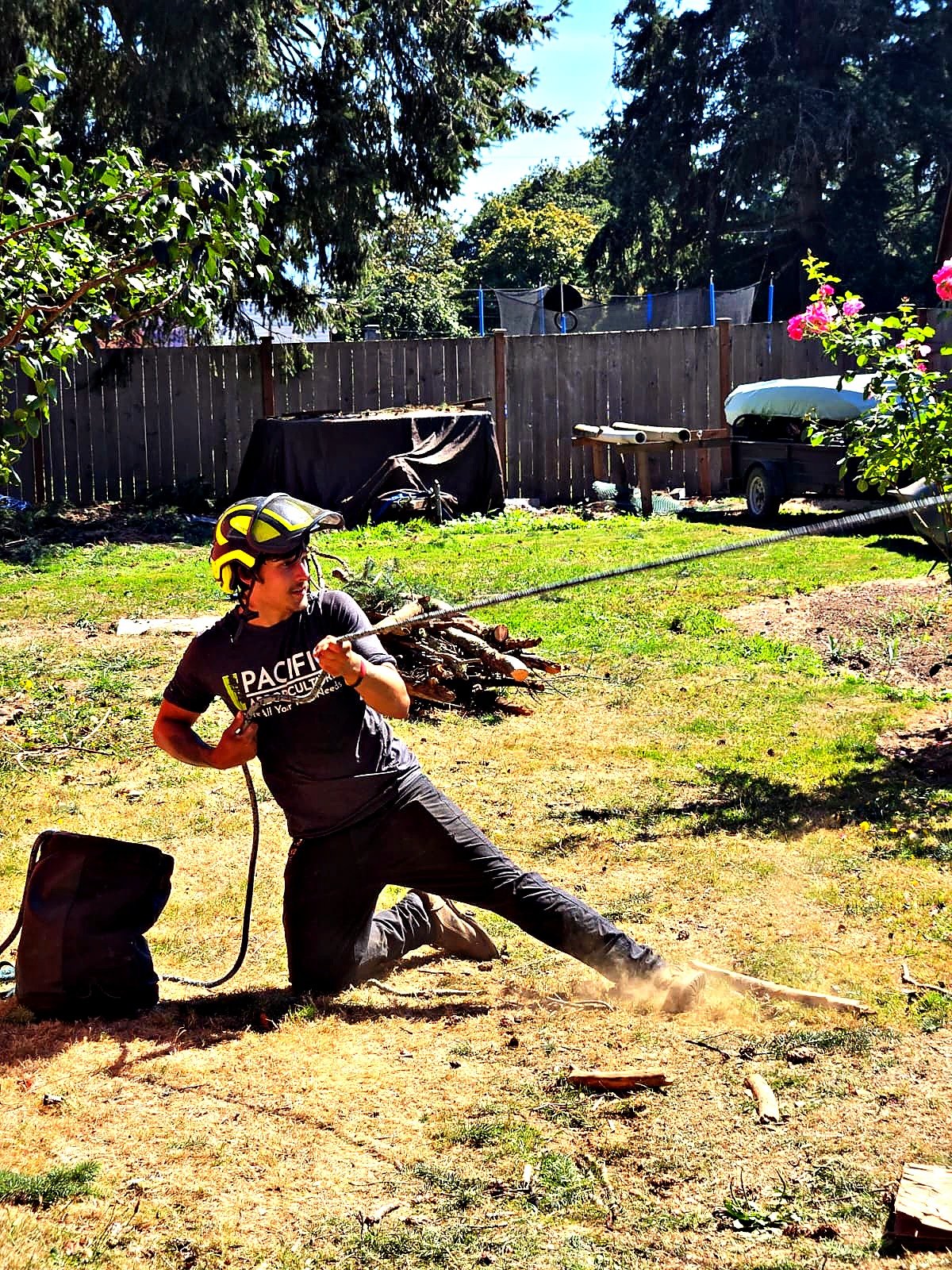 Pacific Arboriculture project photo 3