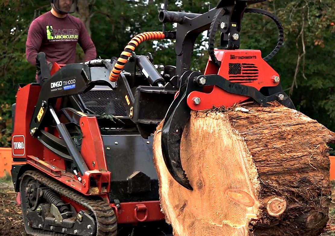 Pacific Arboriculture project photo 4