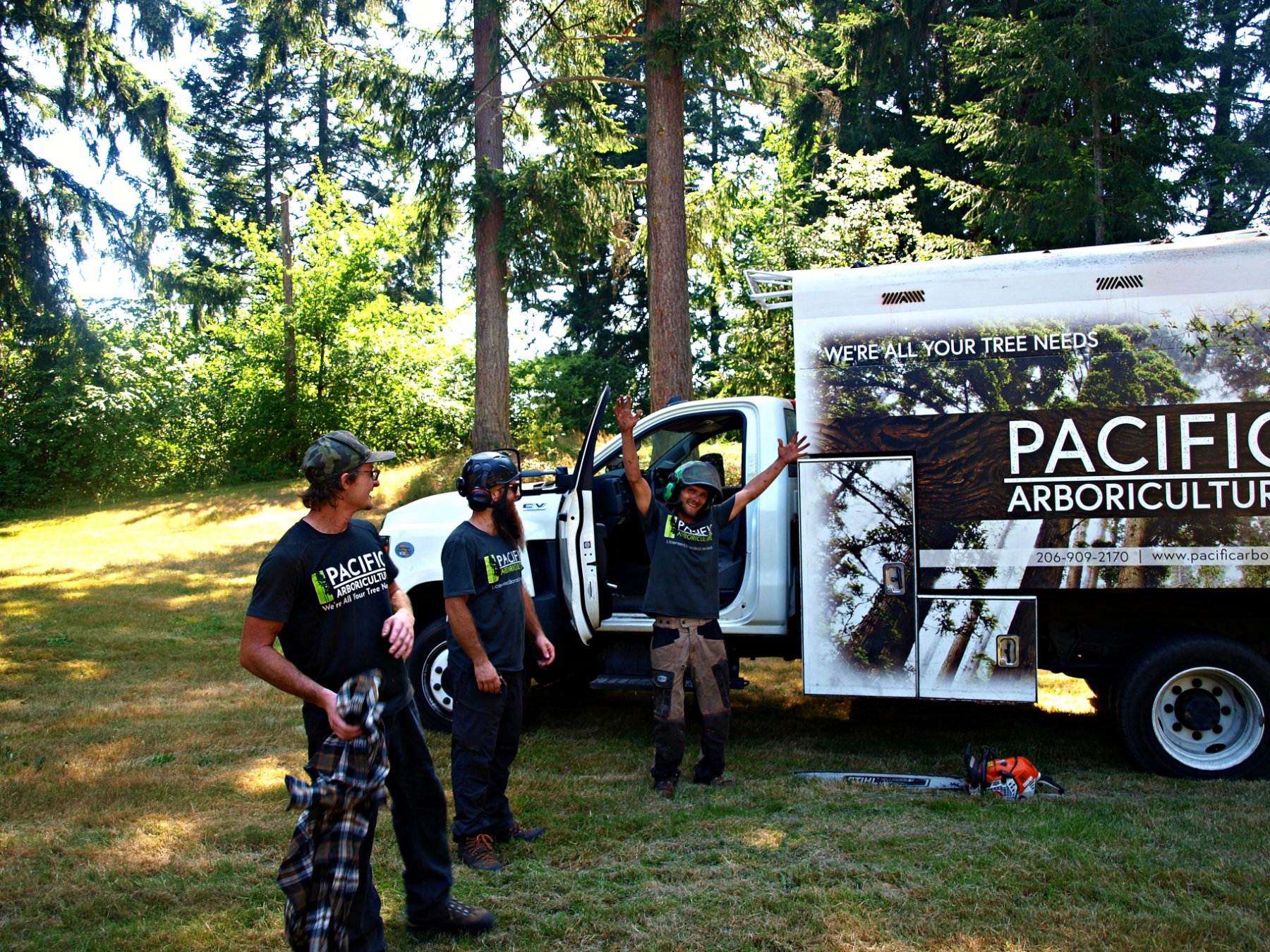 Pacific Arboriculture project photo 8