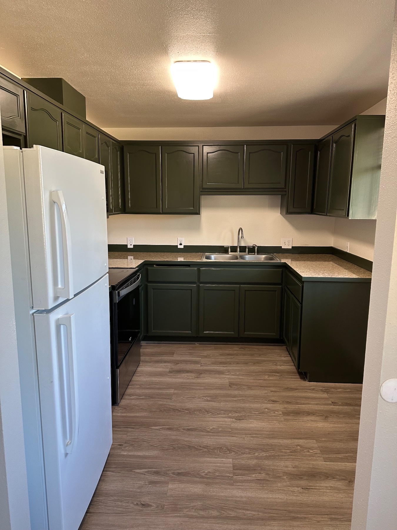 Rainier Roots Contracting project photo 1