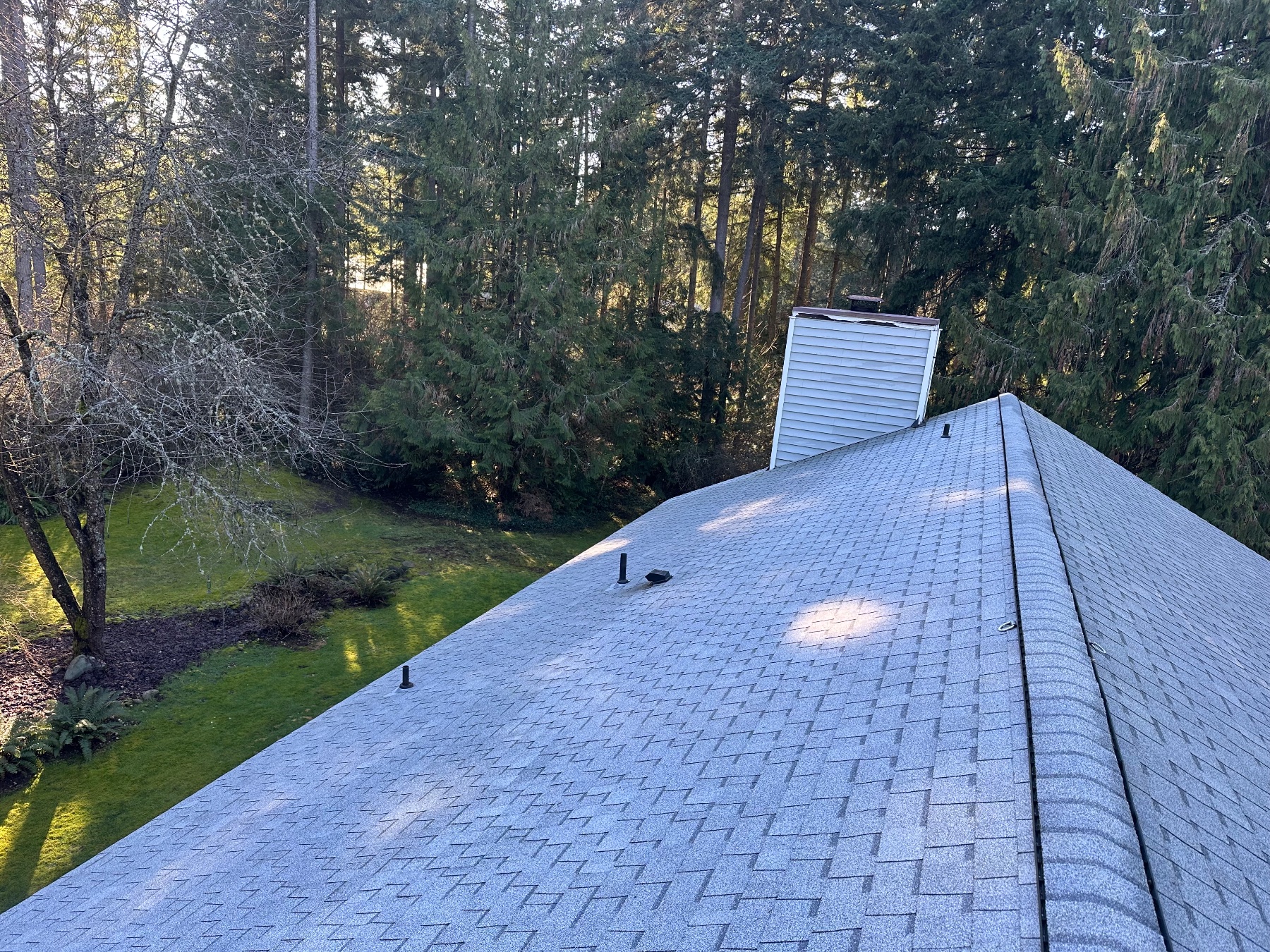 Rainier Roots Contracting project photo 6