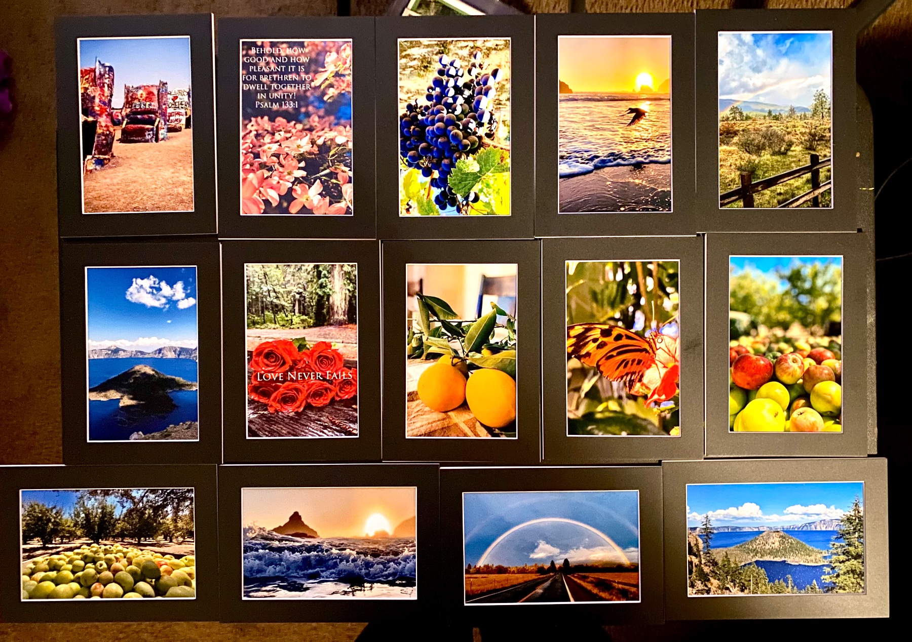 Design On The Vine project photo 4
