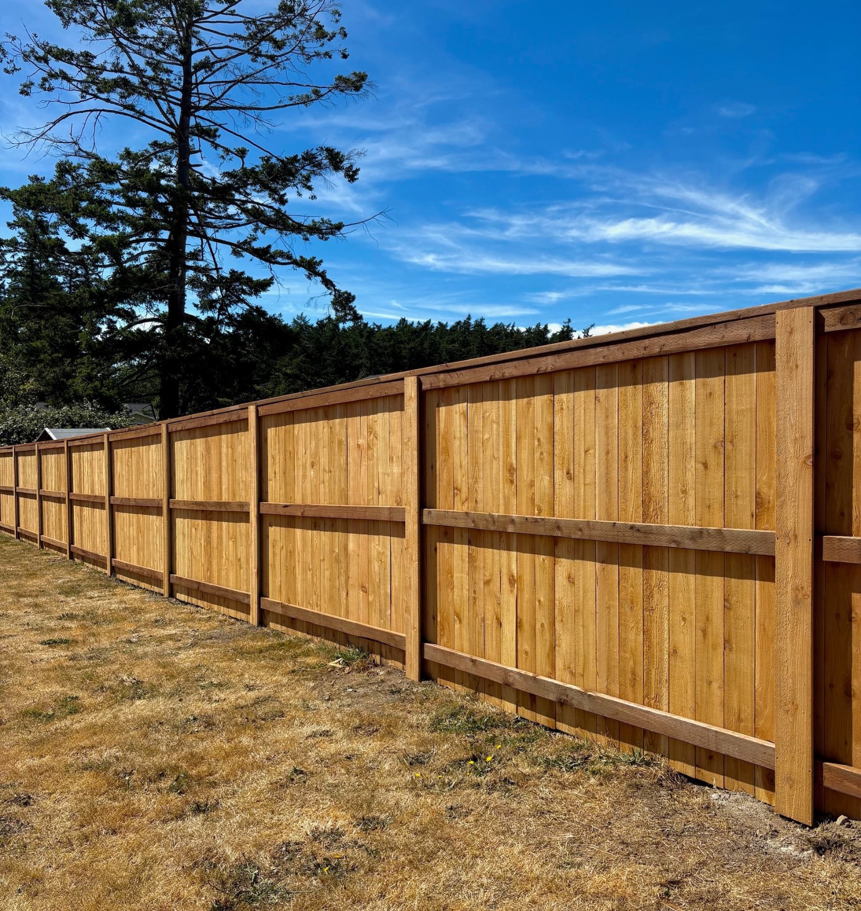 C&W Fencing project photo 1