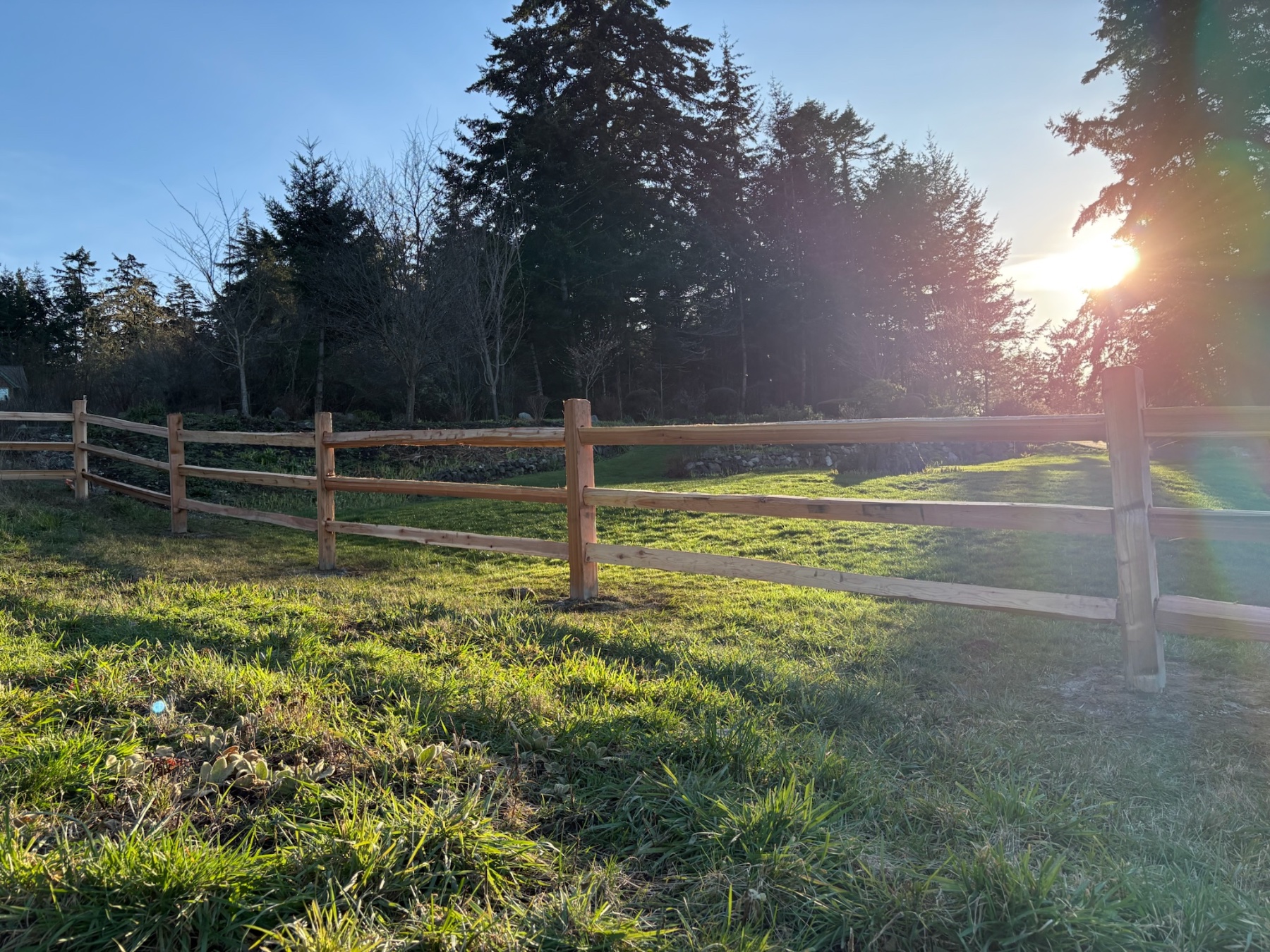 C&W Fencing project photo 10